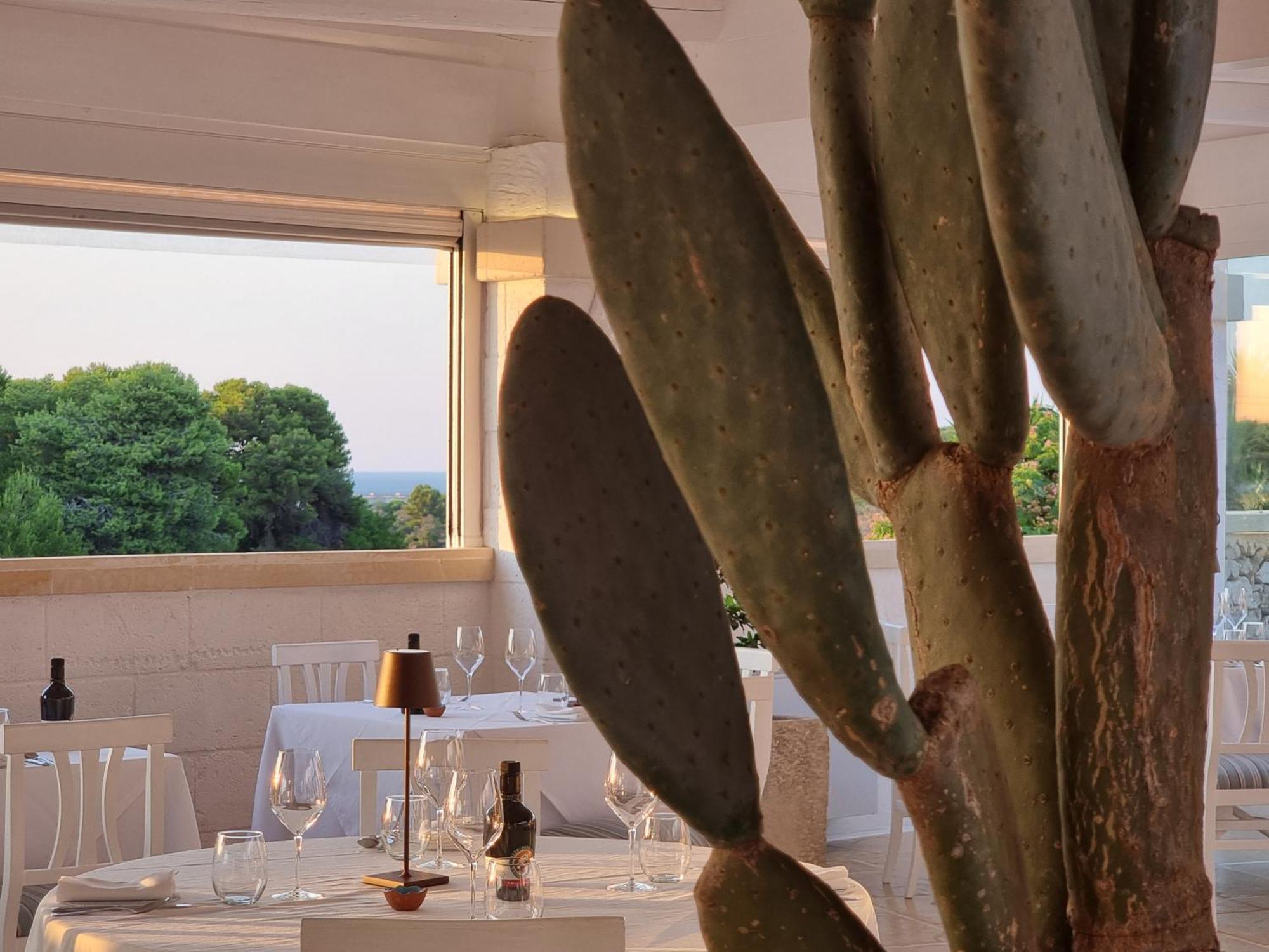 Masseria Bandino & Spa Otranto Ngoại thất bức ảnh